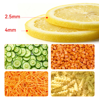 Coupe-légumes et fruits électrique multifonctionnel en gros, hachoir et trancheuse de légumes, mandoline pour la cuisine