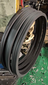 CNG qua lại máy nén phụ tùng Piston Rod đóng gói phân khúc con dấu PTFE đầy Carbon Kính PEEK Đồng MOS2 con dấu Vòng - Product Image 2