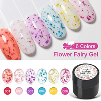 Couleurs personnalisées 2025 Année Nouvelles Fournitures Ongles Produits 5ml Vernis À Ongles Gel Fleur Fée Gel
