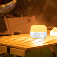 Lampe de lecture LED à clipser rechargeable pour lit, ordinateur portable, étude, utilisation portable