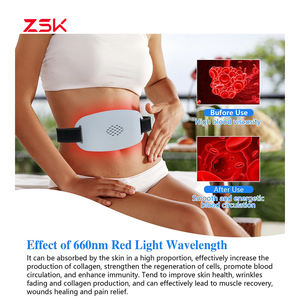 Dispositivo di terapia della luce rossa con connettore portatile per terapia della luce rossa dispositivo di massaggio - Product Image 3