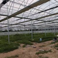 Serre agricole multi-chapelles Sinok, projet clé en main, film plastique transparent PE résistant aux UV, kit complet pour serre à tomates