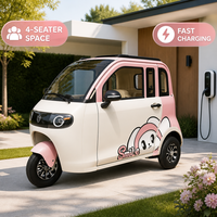 Voiture électrique à 3 roues nouvelle génération avec climatisation, sièges confortables, conduite facile pour les personnes âgées