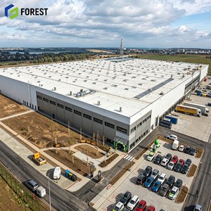 Entrepôt commercial en acier structurel conçu sur mesure, capacité de charge élevée, installation logistique commerciale modulaire - Product Image 1
