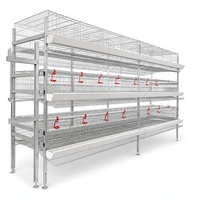 Système de cages automatiques pour poules pondeuses en acier galvanisé pour l'élevage avicole