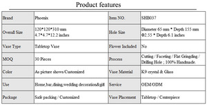 Jingpujiang — <span class=keywords><strong>grand</strong></span> <span class=keywords><strong>Vase</strong></span> à fleurs en verre Transparent <span class=keywords><strong>de</strong></span> haute qualité, <span class=keywords><strong>Vase</strong></span> décoratif pour la maison, pot <span class=keywords><strong>de</strong></span> fleurs en <span class=keywords><strong>cristal</strong></span> K9, 12.2 pouces - Product Image 3