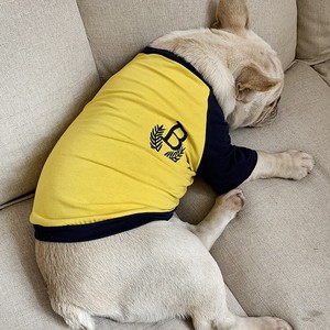 T-shirts assortis mignons avec la lettre B pour le propriétaire et le chien, jaune et bleu, en coton, vêtements de loisirs pour toutes les saisons, ensemble de vêtements pour animaux de compagnie - Product Image 4