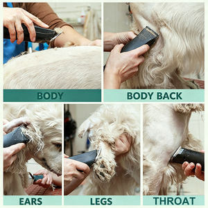 Cuchilla Profesional <span class=keywords><strong>para</strong></span> Recortadora de Mascotas Wadisino Serie A5, Acero con Alto Contenido de Carbono, Repuesto <span class=keywords><strong>para</strong></span> Peluquería Canina, Compatible con <span class=keywords><strong>Oster</strong></span> - Product Image 5