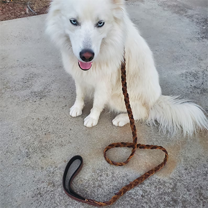 Correa de cuero de perro de cadena trenzada de cuero auténtico resistente personalizada para entrenamiento de perros grandes y medianos - Product Image 6