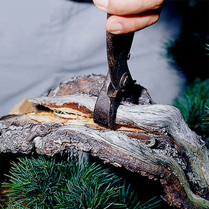 Outil à main pour le séparateur de tronc de bonsaï Tanabe, aspect délicat et magnifique, modèle P13 - Product Image 6