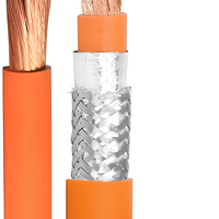 EVRP Abgeschirmtes Kabel für Elektrofahrzeuge, Hochspannungskabel für Automobile 2,5mm²-150mm², Störungsfrei