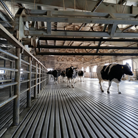Tapis en caoutchouc rayé pour vaches, tapis d'écurie pour chevaux, antidérapant, imperméable, durable, revêtement de sol pour ferme et grange, équipement d'élevage, tapis d'écurie en caoutchouc de 25 mm pour vaches