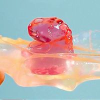 3D dierenvormige peeling gummy snoepjes, diverse fruit smaken, kauwgom snoepjes voor kinderfeestjes