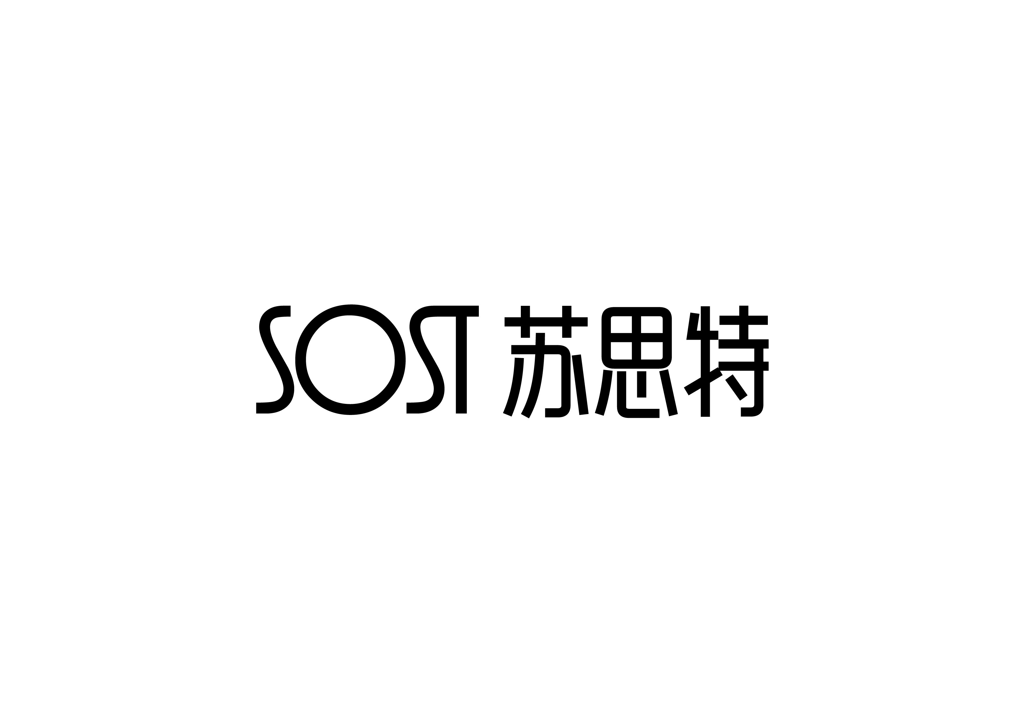 Changzhou Sost International Trade Co., Ltd. logo