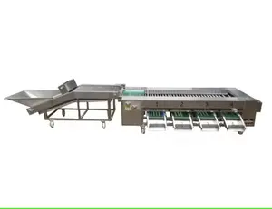 Factory Directly Supply Roller Grading Machinery Fruit Grading Equipment For Sale