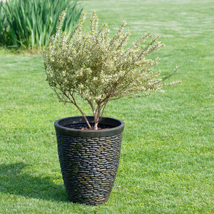 <span class=keywords><strong>Macetas</strong></span> de plástico decorativas <span class=keywords><strong>Funko</strong></span> al por mayor, diseño de jardín popular, blanca y negra piedra artificial, suelo de plantación al aire libre para el hogar - Product Image 3