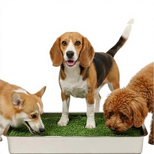 Bac à litière pour <span class=keywords><strong>chien</strong></span> en acier inoxydable avec gazon artificiel, grille amovible, nettoyage rapide et facile, utilisation intérieure/extérieure pour <span class=keywords><strong>chien</strong></span> de petite/moyenne taille - Product Image 1