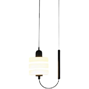 Pendant <b>Light</b> Round <b>Single</b> Head Incandescent Lamp <b>Switch</b> Control Home Lighting D180 H300 Adjustable Cable 2M - Product Image 4