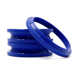 איכות גבוהה nbr fkm 70 שחור כחול ירוק basl tc כמו b1 <span class=keywords><strong>sl</strong></span> <span class=keywords><strong>sa</strong></span> כפול שפתיים שמן חותם למכירה - Product Image 6