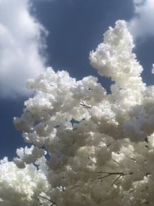 Arbre de fleurs de cerisier artificiel <span class=keywords><strong>en</strong></span> gros d'usine centres de table de mariage d'intérieur arbres artificiels <span class=keywords><strong>fleur</strong></span> de cerisier - Product Image 2