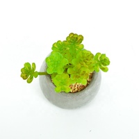Plante en herbe artificielle en pot, Meilleure vente, Écologique, Moderne, Petite plante en herbe synthétique en pot de ciment