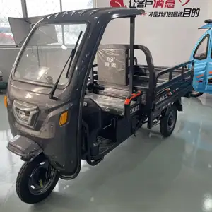 1500W Chinese Tricycle Cargo Motorcycle Tricycle Rally Heavy Cargo Hydraulic Elevator Tricycle Electric Cargo