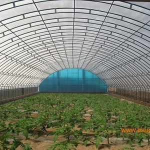थोक मूल्य कृषि गर्म स्नान जस्ती स्टील फ्रेम औद्योगिक कृषि ग्रीनहाउस के लिए बिक्री - Product Image 4