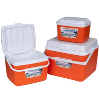 En stock, boîte isotherme multifonctionnelle pour pique-nique, randonnée, camping, boîte isotherme rigide pour glace et bière, ensemble de 4