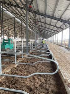 Bucles para diario, sin vaca - Product Image 6