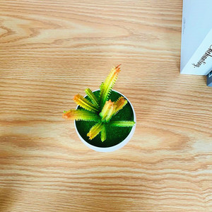 Plante succulente artificielle en pot, 6 longues et 6 courtes, cactus bonsai en PVC souple, ornement de bureau - Product Image 4