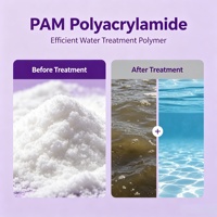 Polyacrylamide en poudre blanc à prix d'usine, polymère super absorbant pour l'impression et la teinture