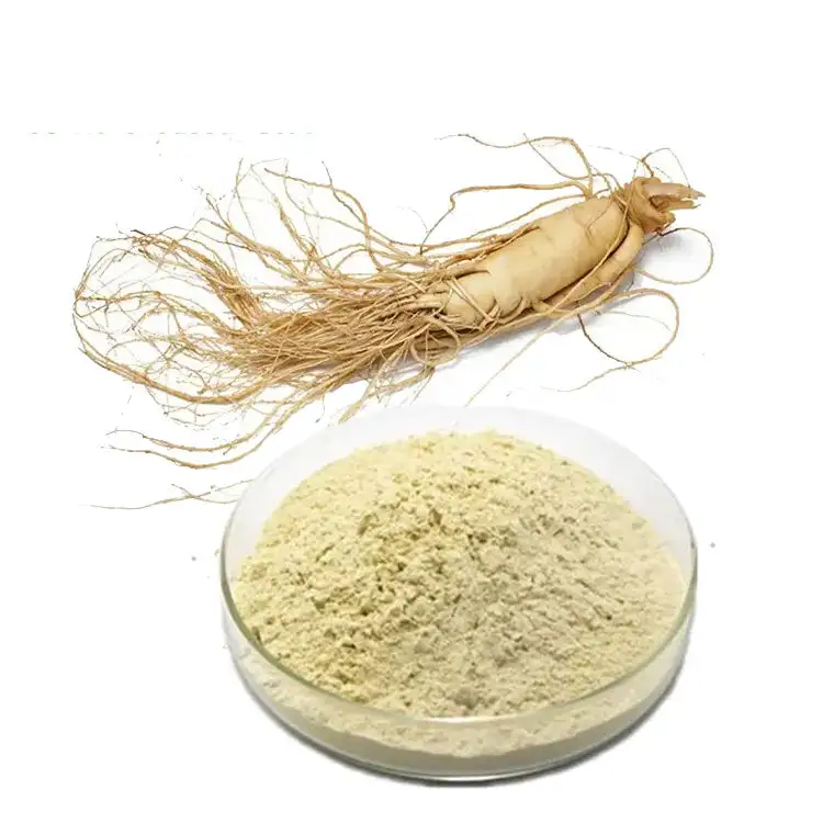 उच्च गुणवत्ता Ginseng रूट निकालने Panax Ginseng रूट शामिल नि: शुल्क नमूने और सबसे अच्छी कीमत के साथ 80% Ginsenosides