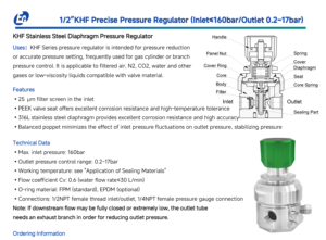Valvola di Riduzione della Pressione Manuale a Diaframma EAGLE in Acciaio Inox 316L 1/2''NPT 1/4''NPT Regolatore di Precisione per Acqua e <span class=keywords><strong>Gas</strong></span> - Product Image 2