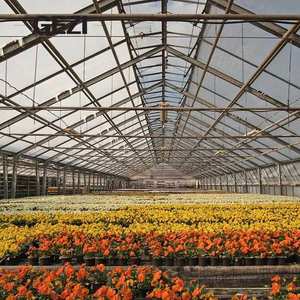 85% 20x20FT Rectangle aluminium ombre tissu réfléchissant pare-soleil couverture argent bâche œillets voiture jardin Patio chenil - Product Image 4