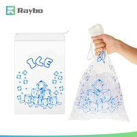 RAYBO Vente en gros de sacs de stockage de glace en LDPE de haute qualité, sacs en plastique pour congélateur, sacs à glaçons