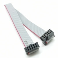 Kabel Pita Datar IDC 2.0mm Pitch Kustom, Kabel Ekstensi Male to Female, Kabel Pita Abu-abu, Perakitan Kabel Pita OEM ODM, Panjang Kustom