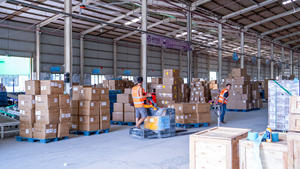 Los 10 mejores FEDEX FBA Spediteur <span class=keywords><strong>Von</strong></span> China Nach Japón EE. UU. Frankreich Mit Inspektions Diensten Erschwing Licher Bester Versands Ervice - Product Image 5