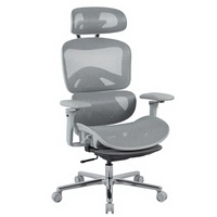 Chaise de bureau ergonomique Henglin en maille avec appui-tête 2D, accoudoirs 5D, vérin à gaz à 4 niveaux et roulettes silencieuses