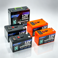 Paket Baterai Lifepo4 Tenaga Surya Off Grid 12V/48v, Papan Proteksi Terintegrasi Baterai Lithium Pilihan Kapasitas Beragam