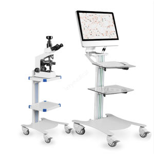 Aparelho terapêutico de reabilitação e de disfunção <span class=keywords><strong>sexual</strong></span> masculina (versão familiar) - Product Image 6