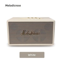 Enceinte portable sans fil Melody Rose 40W - Enceinte de bureau haute qualité et volume élevé 40W
