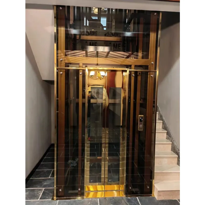 Asansör küçük ev kaldıracı moda tasarımı Villa asansörü