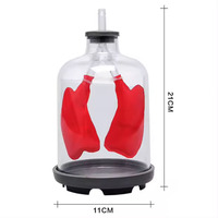 Simulateur de mouvement pulmonaire manuel démontable de haute qualité pour l'enseignement de la biologie du système respiratoire, équipement éducatif