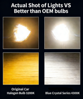 Phares halogènes super lumineux Glint OEM ODM, phare halogène pour voiture, phare antibrouillard étanche pour système d'éclairage automobile