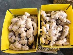 Aria fresca essiccata giovane zenzero cinese cinese prezzo all'ingrosso cibo vegetale zenzero per il mercato del Regno Unito Europa 300g - Product Image 4