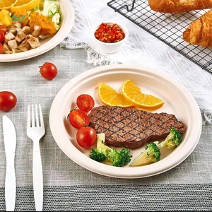 Platos de Papel de Bagazo Desechables Personalizados Verdes para <span class=keywords><strong>Comida</strong></span> Rápida, Vajilla de Pulpa de 9 Pulgadas, 100% Compostables, Biodegradables y Reciclables - Product Image 6