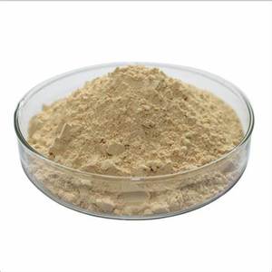 En iyi fiyat organik Withania Somnifera 5% Withanolides kök tozu ashashandha özü - Product Image 2