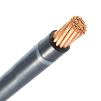 Venta al por mayor Cable eléctrico Alambre de construcción 4-14 AWG Chaqueta de nailon de cobre trenzado Aislamiento de PVC THWN THHN Aplicación Uso industrial