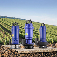 Pompe à eau submersible portable pour puits profond, eau propre, haute pression, 0,55 kW, 0,75 CV, câble de 7 m, joint en acier inoxydable 2
