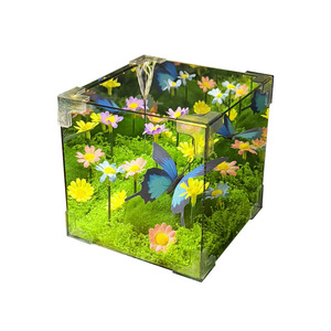 Kit <span class=keywords><strong>de</strong></span> manualidades DIY <span class=keywords><strong>de</strong></span> Little Red Book, juego <span class=keywords><strong>de</strong></span> regalo Personal <span class=keywords><strong>de</strong></span> luz nocturna <span class=keywords><strong>de</strong></span> mariposa <span class=keywords><strong>de</strong></span> Primavera <span class=keywords><strong>de</strong></span> <span class=keywords><strong>Mago</strong></span> <span class=keywords><strong>de</strong></span> <span class=keywords><strong>Oz</strong></span> para niñas en vacaciones - Product Image 5